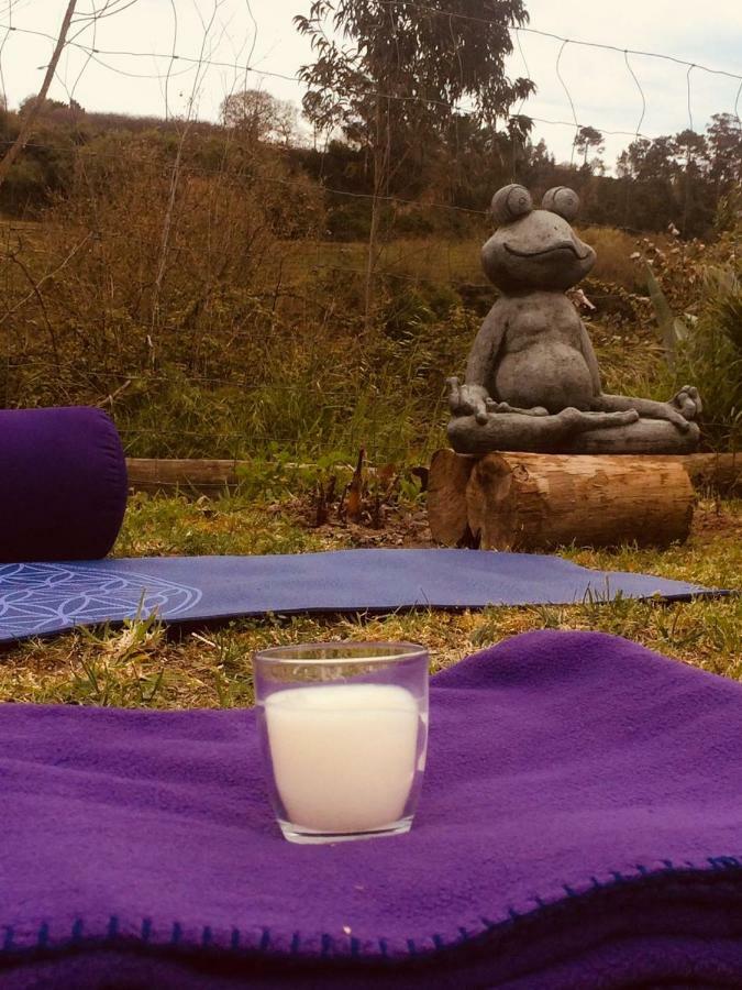 Quinta Da Vida Serena Gaio Zewnętrze zdjęcie